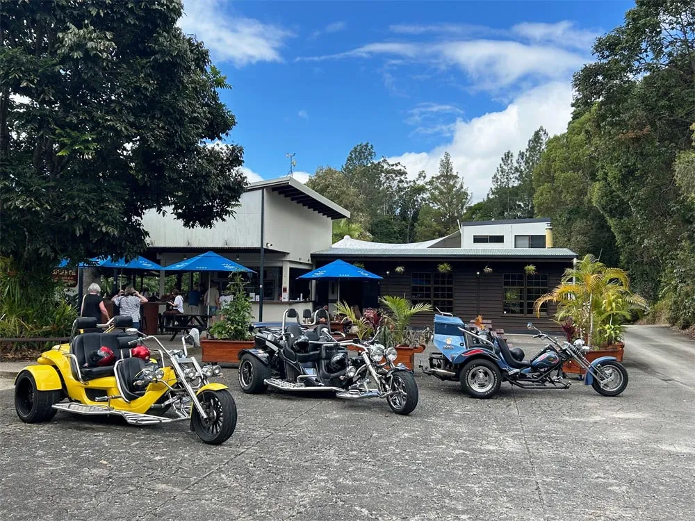Port Douglas Scenic Trike Tour - 90 Minutes | Experience Oz-4