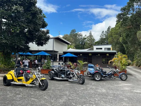 Port Douglas & Mowbray Scenic Trike Tour - 90 Minutes