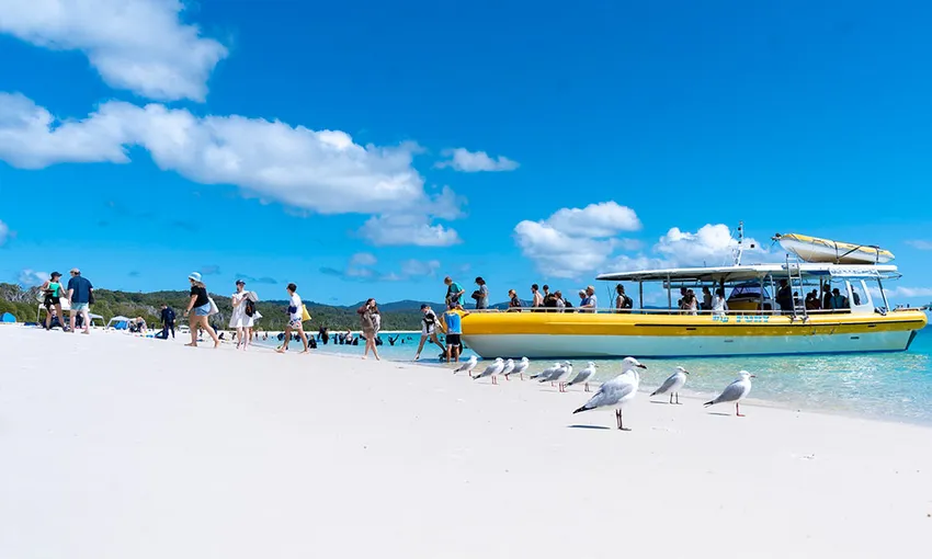 High Speed Jetboat & Snorkel, Full Day - Whitehaven Beach