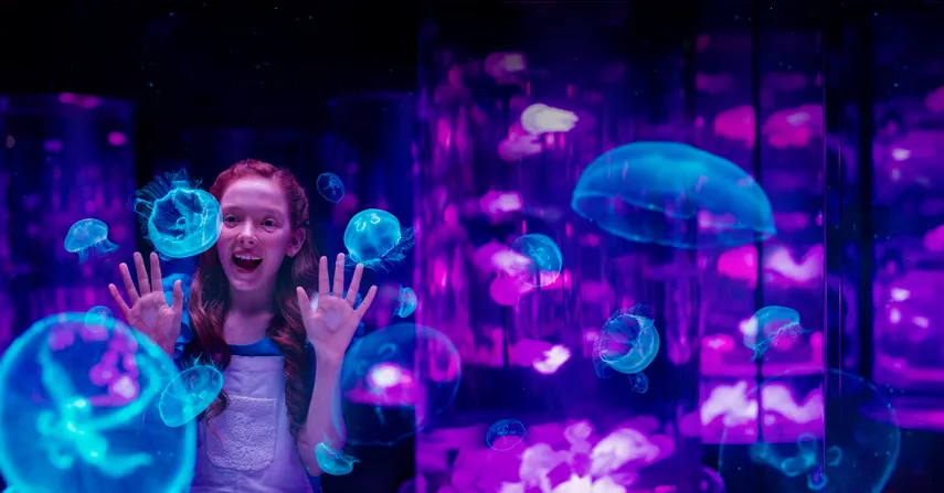 7 Day Unlimited Multi Park Pass - Gold Coast 