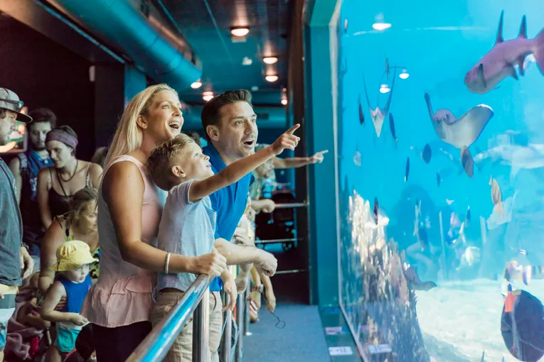 7 Day Unlimited Multi Park Pass - Gold Coast 