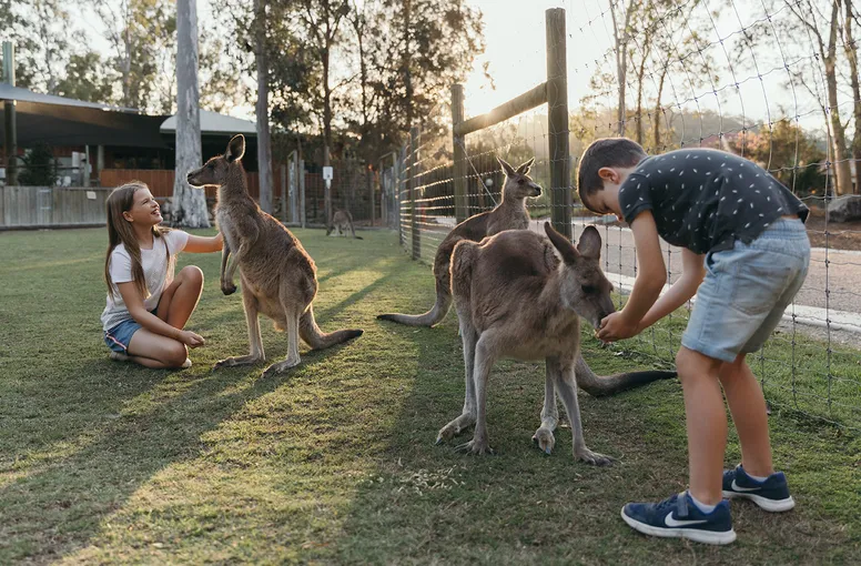 7 Day Unlimited Multi Park Pass - Gold Coast 