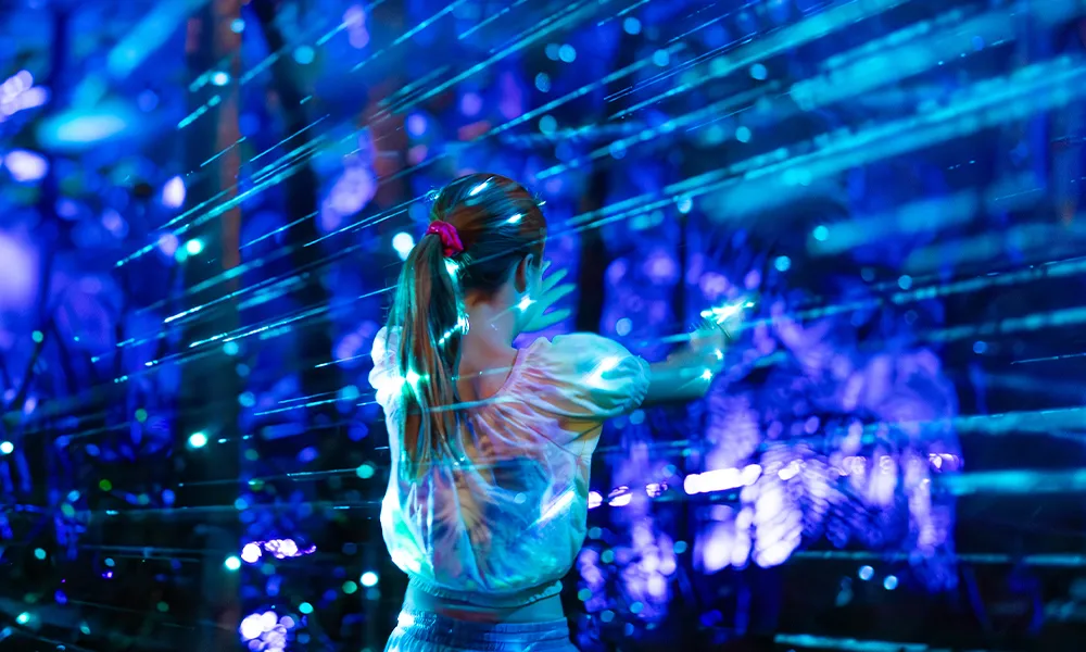 Sydney Zoo GLOW Light Festival Admission | Experience Oz-7