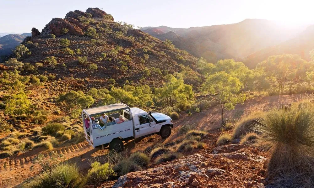 Flinders Ranges Ridgetop 4WD Tour - 4.5 Hours | Experience Oz-4