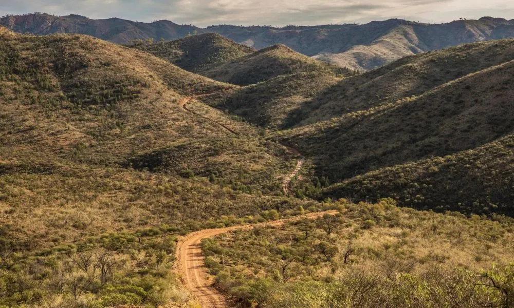 Flinders Ranges Ridgetop 4WD Tour - 4.5 Hours | Experience Oz-6