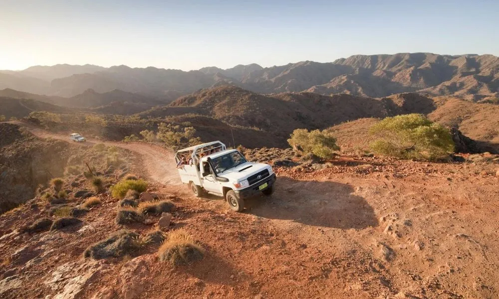 Flinders Ranges Ridgetop 4WD Tour - 4.5 Hours | Experience Oz-1