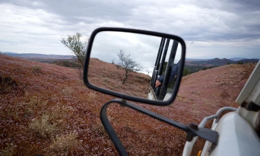 Flinders Ranges Ridgetop 4WD Tour - 4.5 Hours | Experience Oz-2