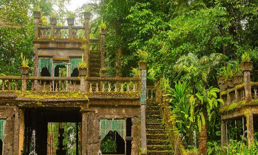 Rainforest, Waterfalls & Paronella Park Day Tour