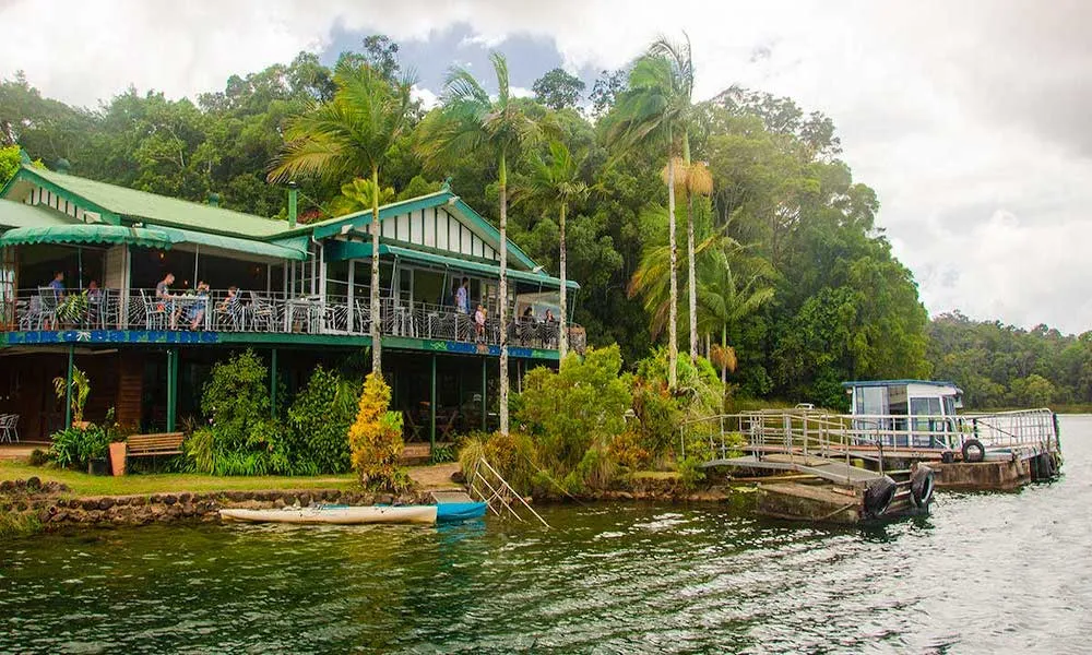 Rainforest, Waterfalls & Paronella Park Day Tour-3