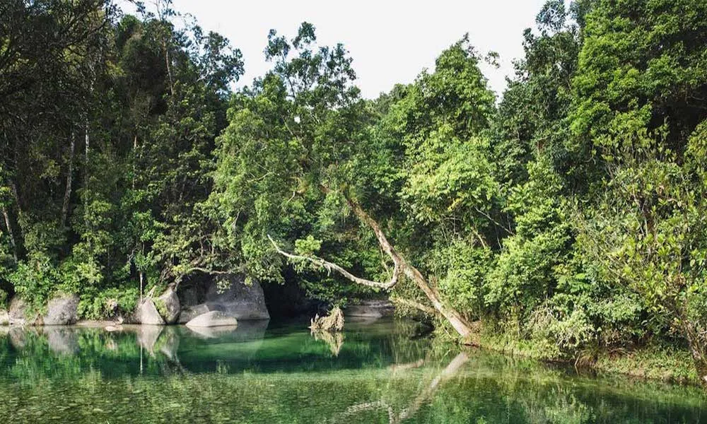 Rainforest, Waterfalls & Paronella Park Day Tour-4