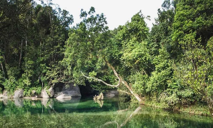 Rainforest, Waterfalls & Paronella Park Day Tour