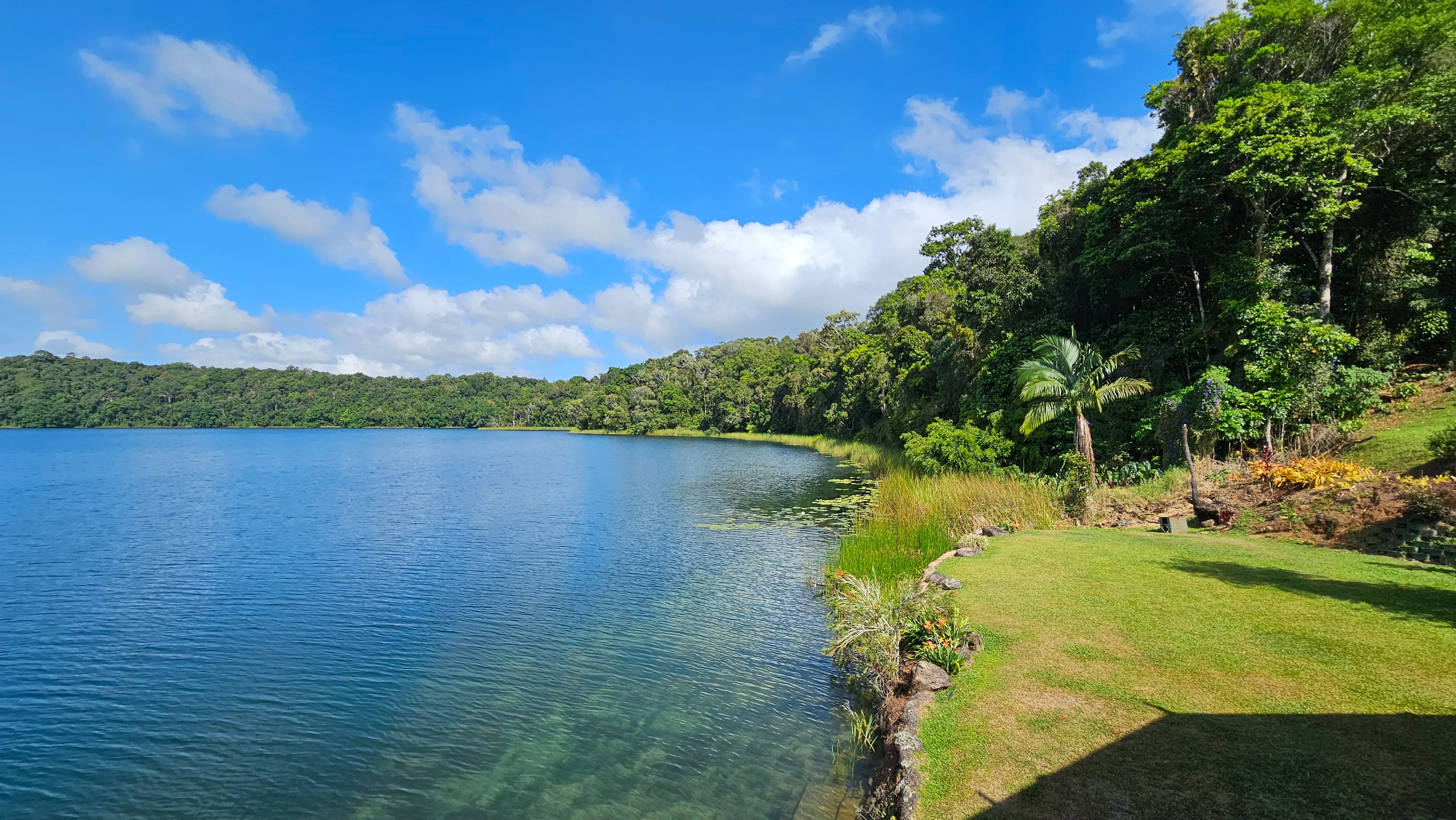 Rainforest, Waterfalls & Paronella Park Day Tour-9
