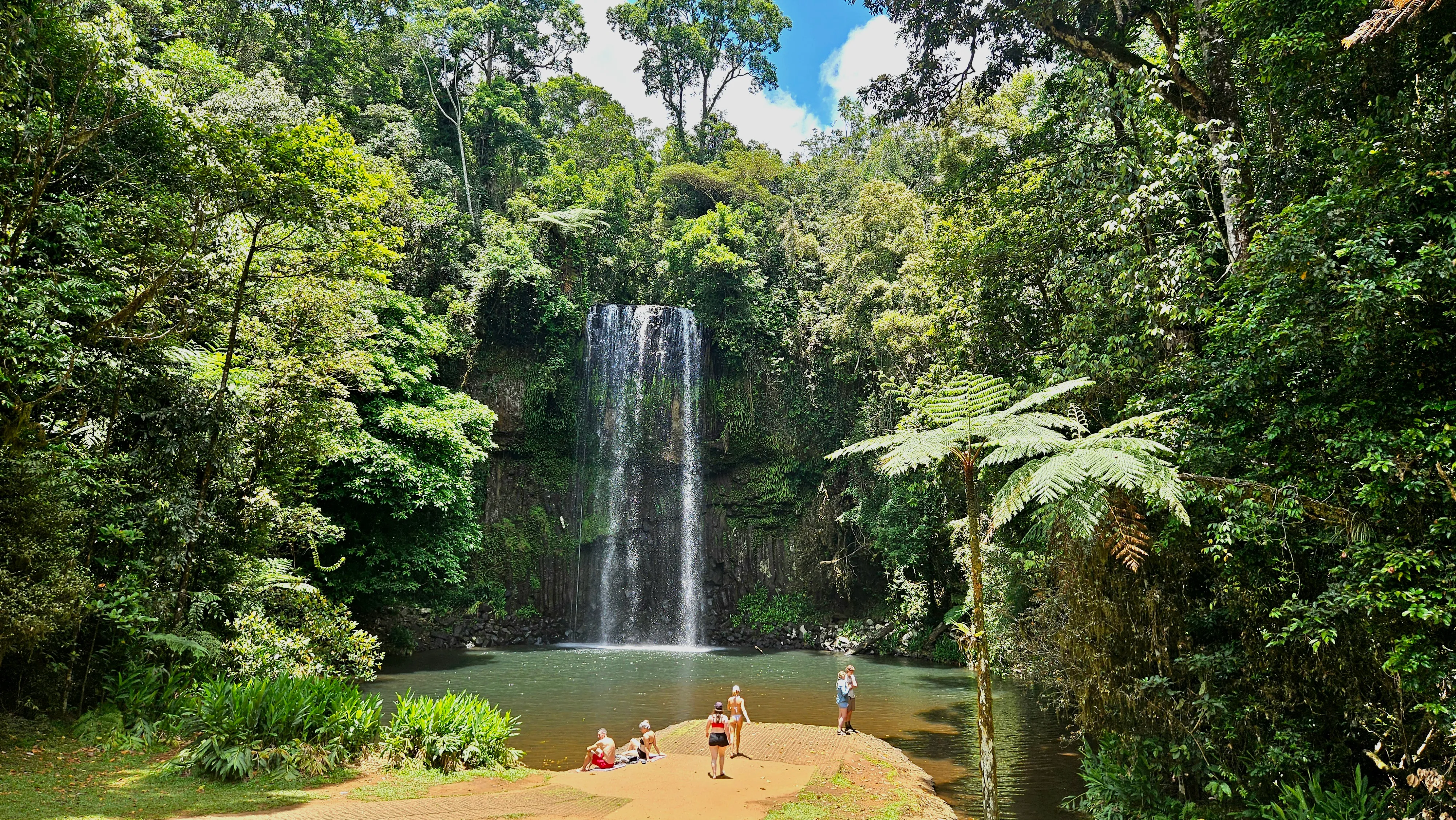 Rainforest, Waterfalls & Paronella Park Day Tour-11