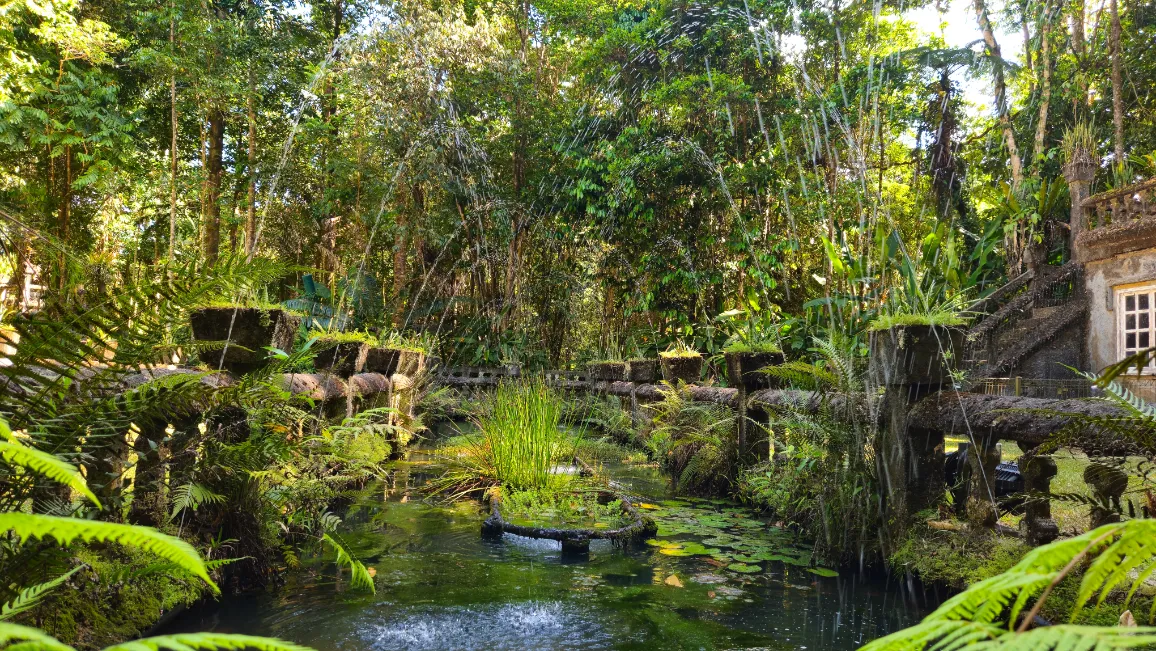 Rainforest, Waterfalls & Paronella Park Day Tour-14