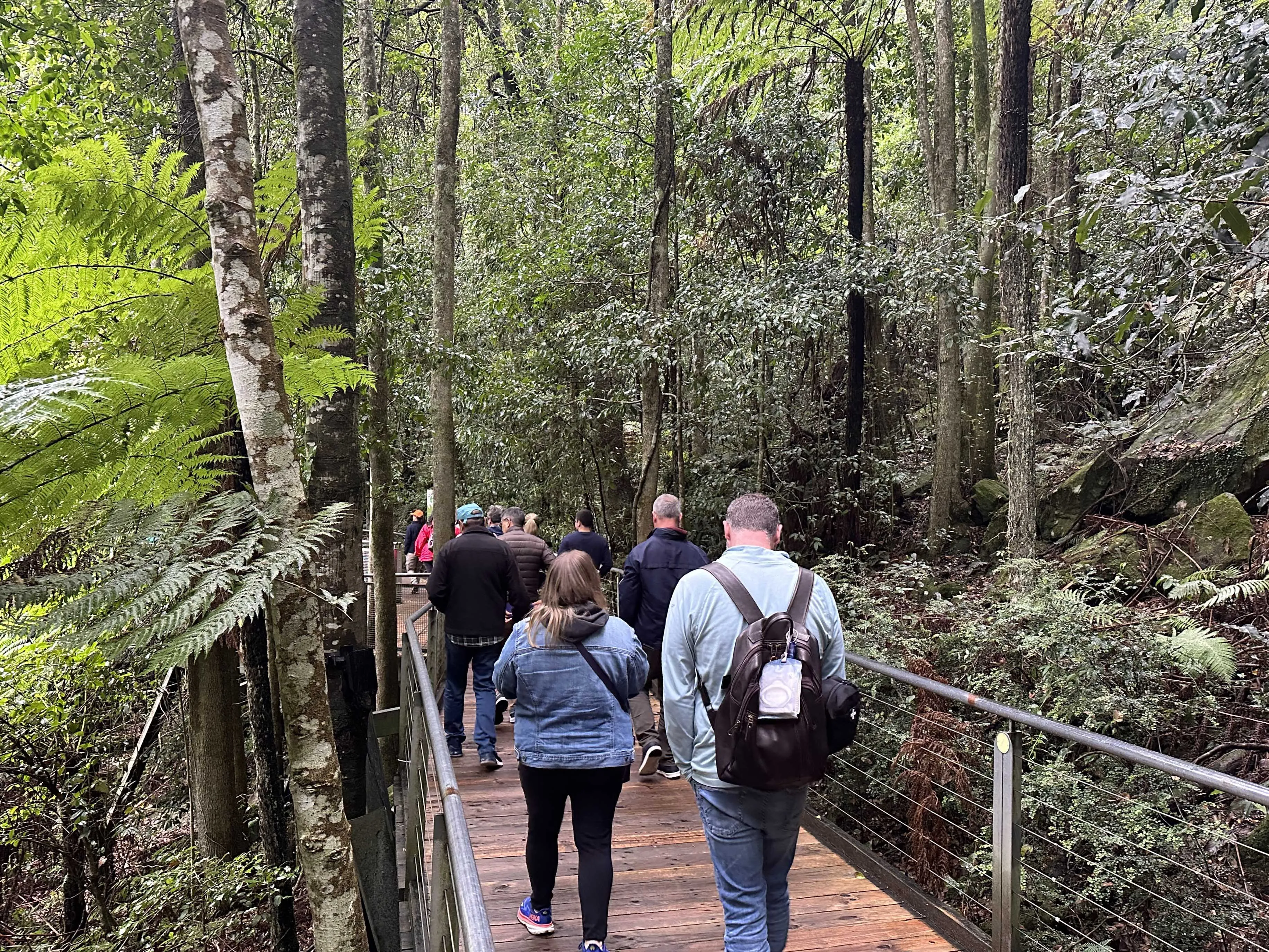 Blue Mountains with Scenic World, Train & Ferry | Experience Oz-7