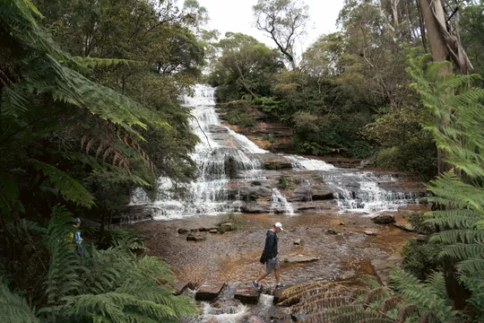 Blue Mountains Tour - Steam Train, Scenic World & Ferry