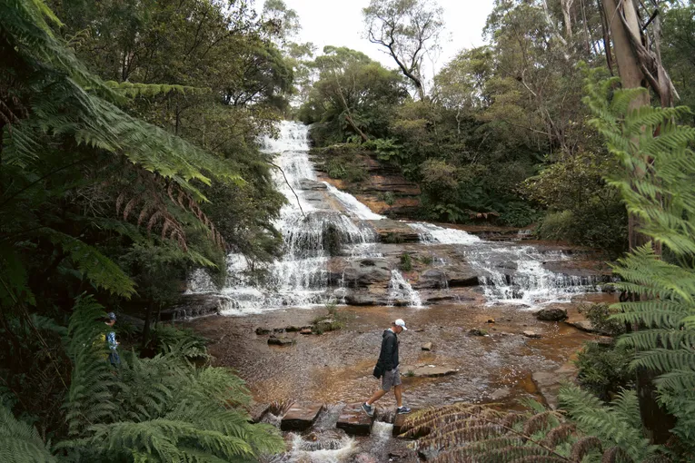 Blue Mountains Tour - Steam Train, Scenic World & Ferry | Experience Oz