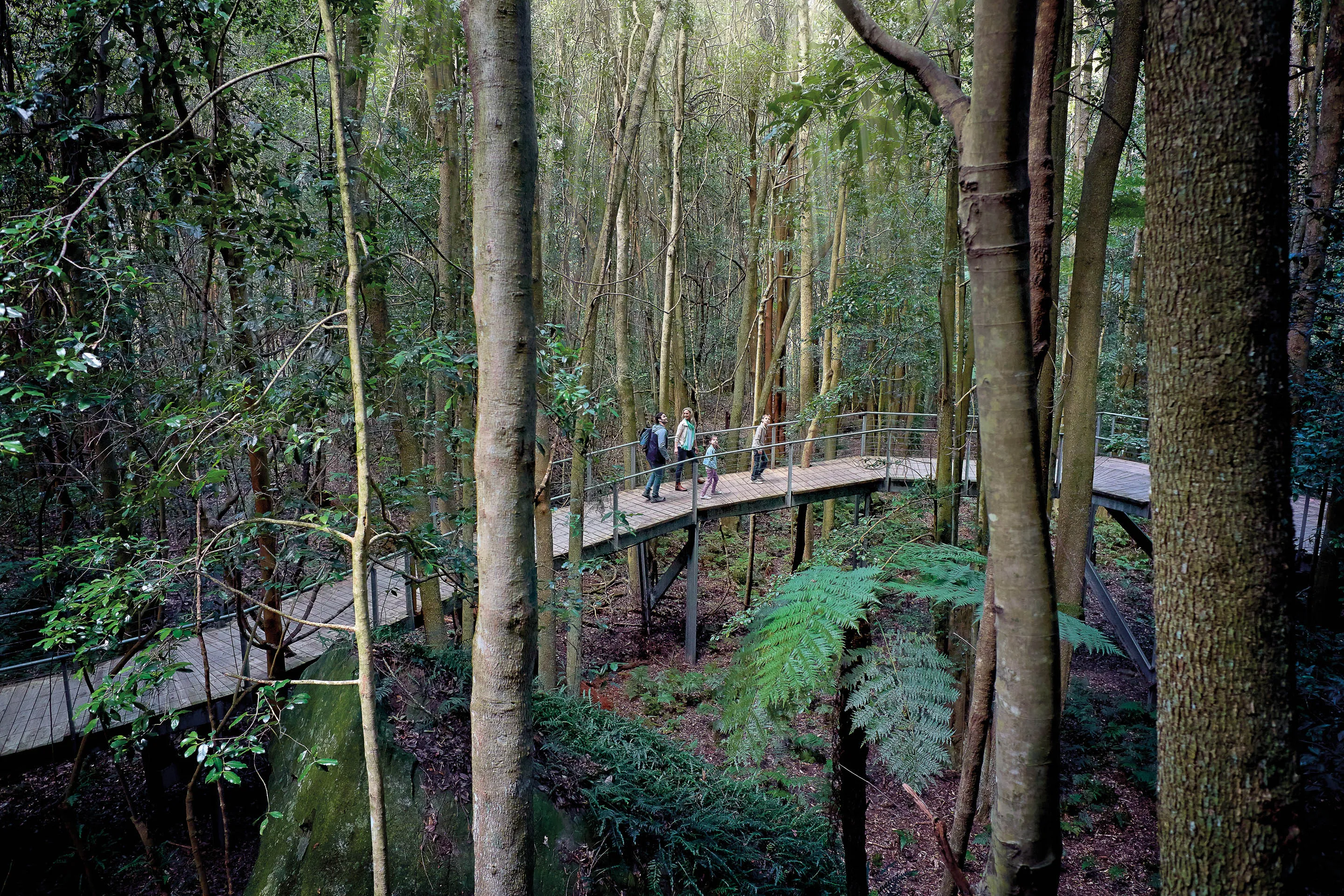 Blue Mountains with Scenic World, Train & Ferry | Experience Oz-2