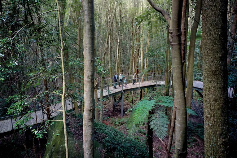 Blue Mountains Tour - Steam Train, Scenic World & Ferry | Experience Oz