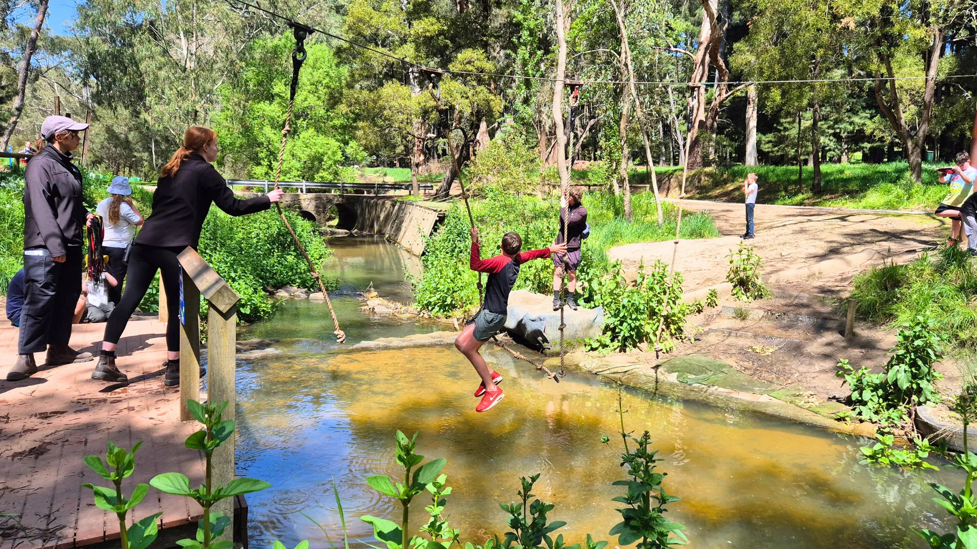 Adelaide Hills Woodhouse Adventure Park | Experience Oz-1