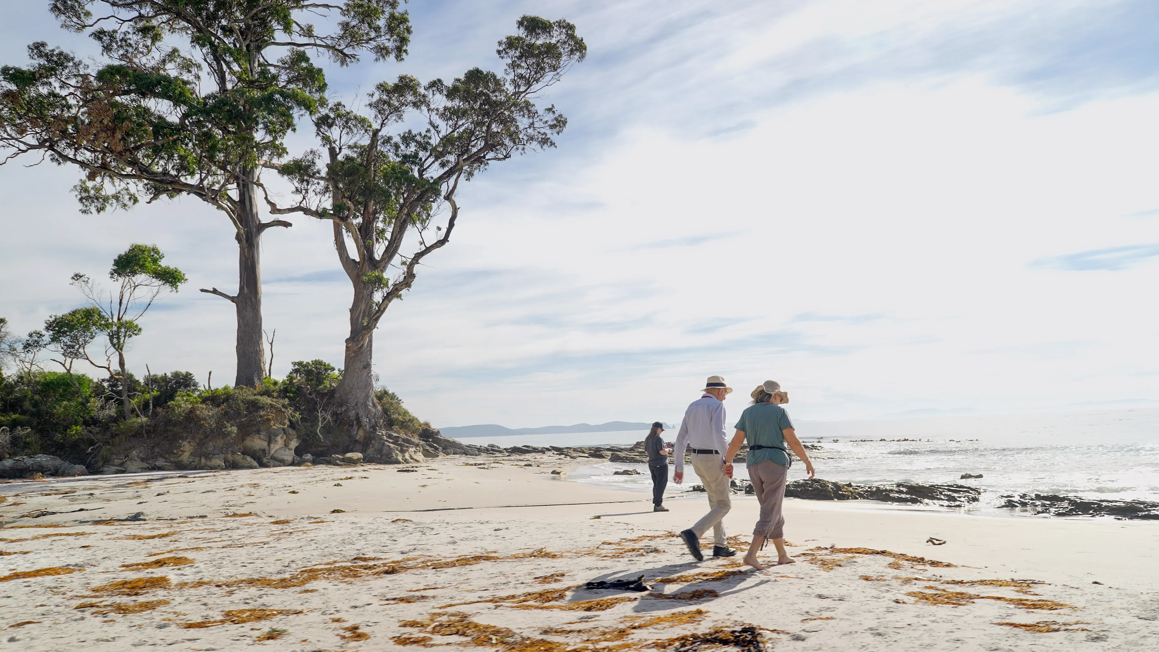 Bruny Island Lighthouse & Scenic Tour from Hobart | Experience Oz-5