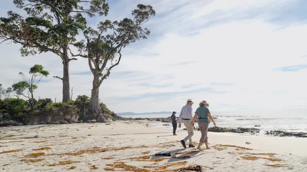 Bruny Island Lighthouse, Wildlife & Scenic Tour from Hobart