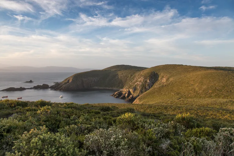 Bruny Island Lighthouse & Scenic Tour from Hobart | Experience Oz