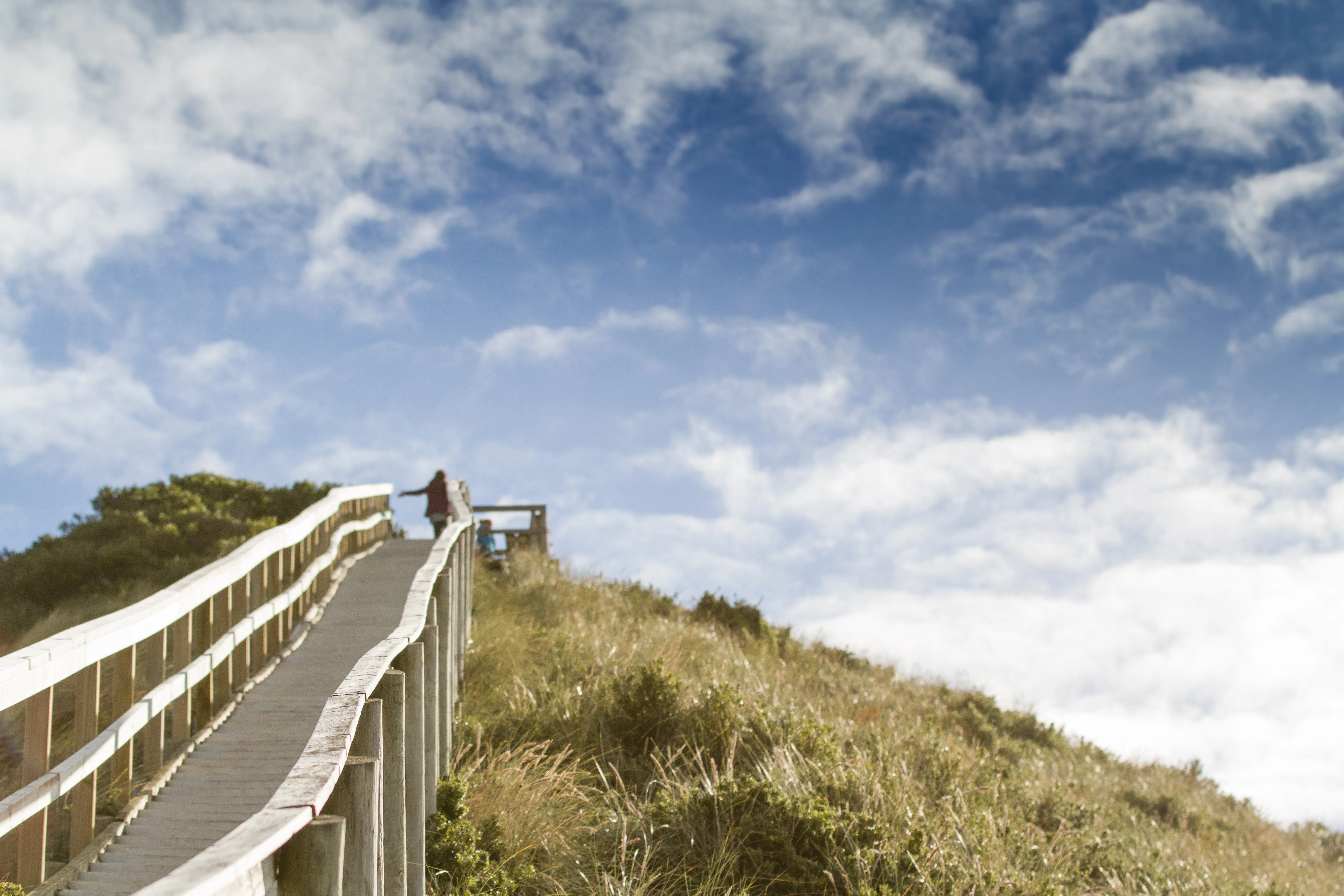 Bruny Island Lighthouse & Scenic Tour from Hobart | Experience Oz-7