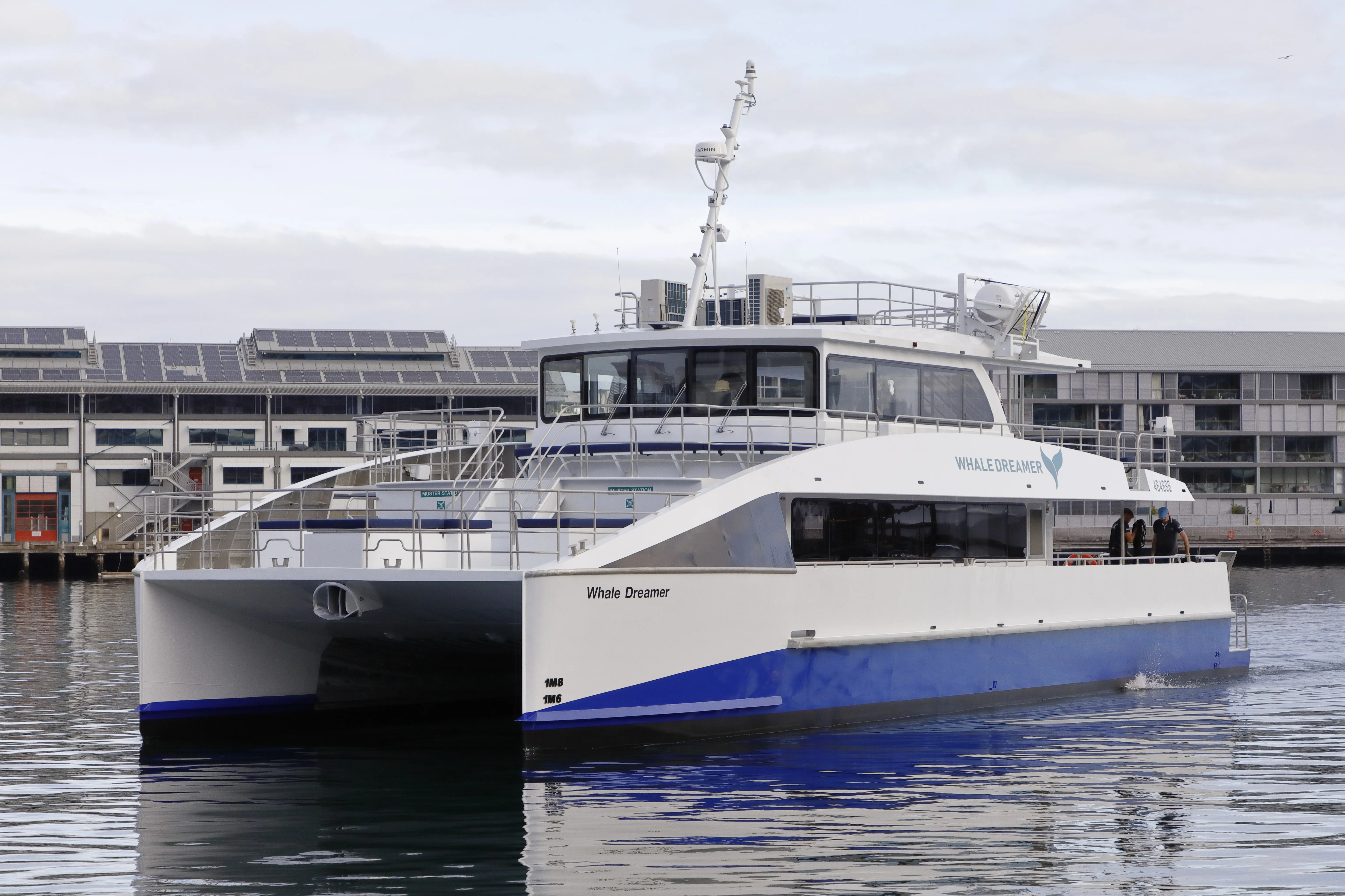 Sydney Whale Watching Cruise - Book Now | Experience Oz-7