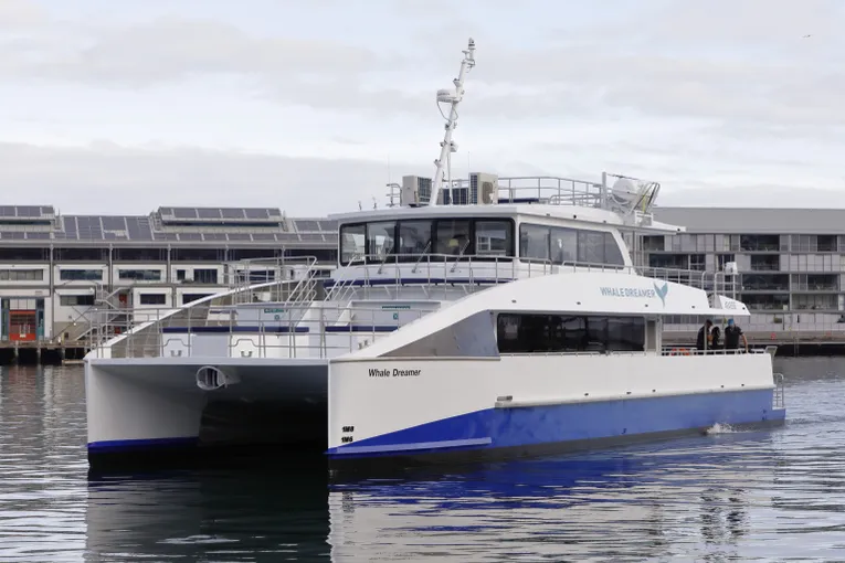 Sydney Whale Watching Cruise - Book Now | Experience Oz
