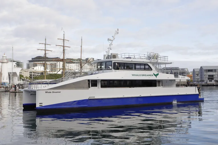 Sydney Whale Watching Cruise - Book Now | Experience Oz