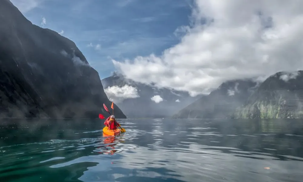 Day Safari Rosco's Kayak Tours | Kayaking Milford Sound | Everything New Zealand-1