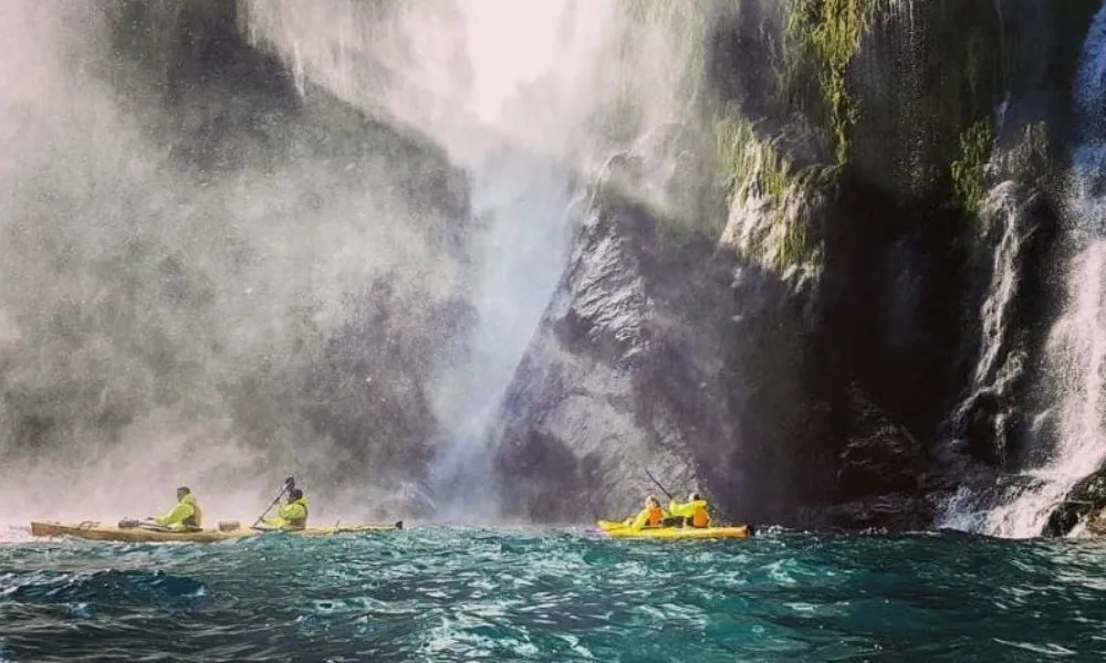 Milford Cruiser Rosco's Kayak Tours | Kayaking Milford Sound | Everything New Zealand-3