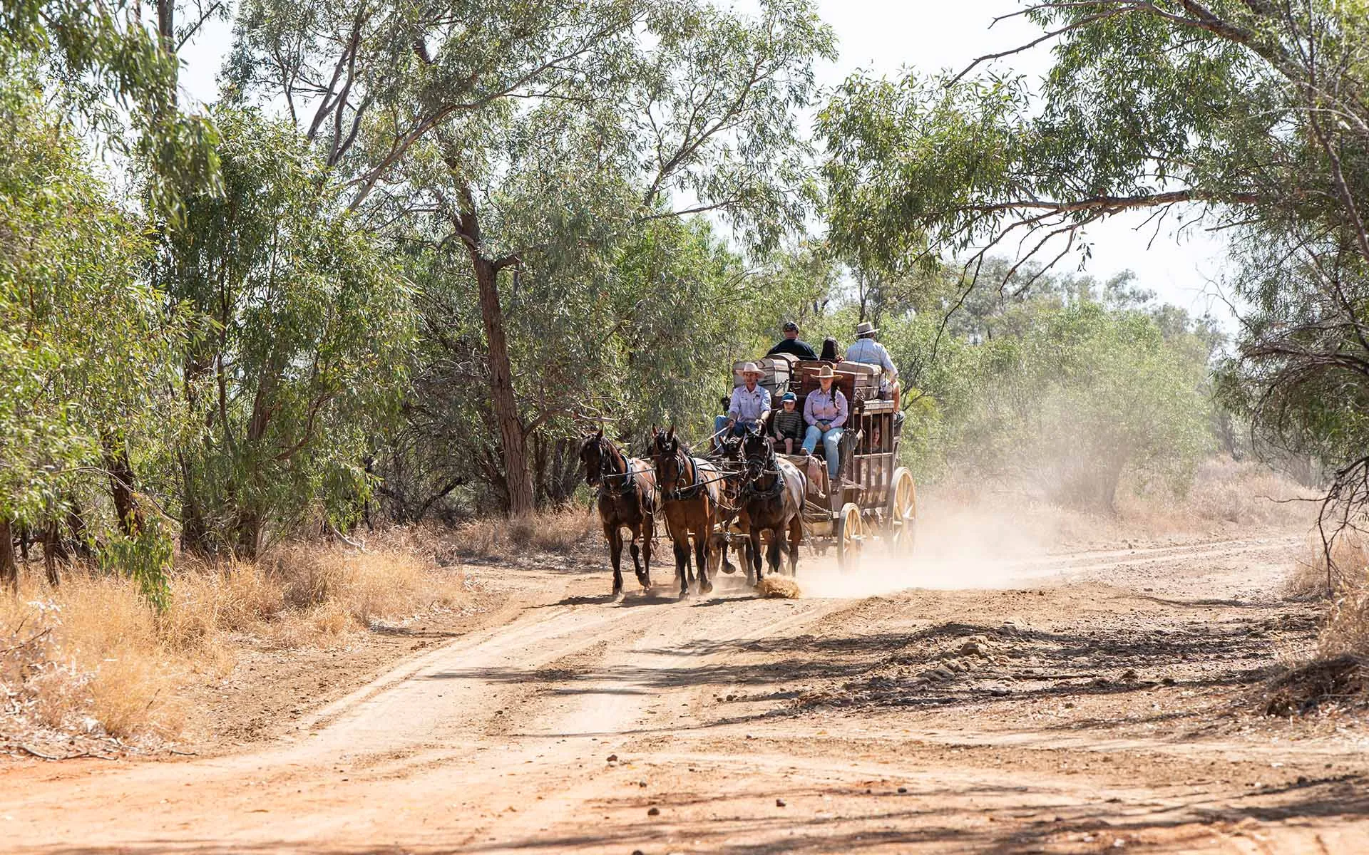 Longreach Cobb and Co Stagecoach Ride - 4 Hours | Experience Oz-2
