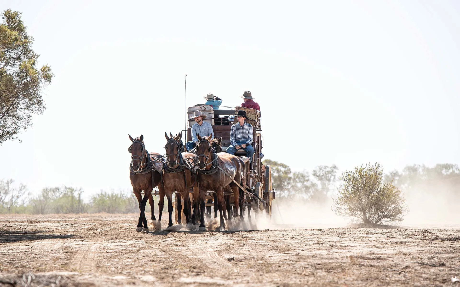 Longreach Cobb and Co Stagecoach Ride - 4 Hours | Experience Oz-3