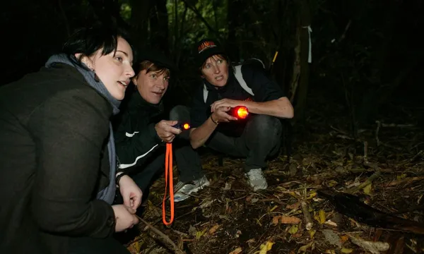 Guided Zealandia by Night Tour & Admission