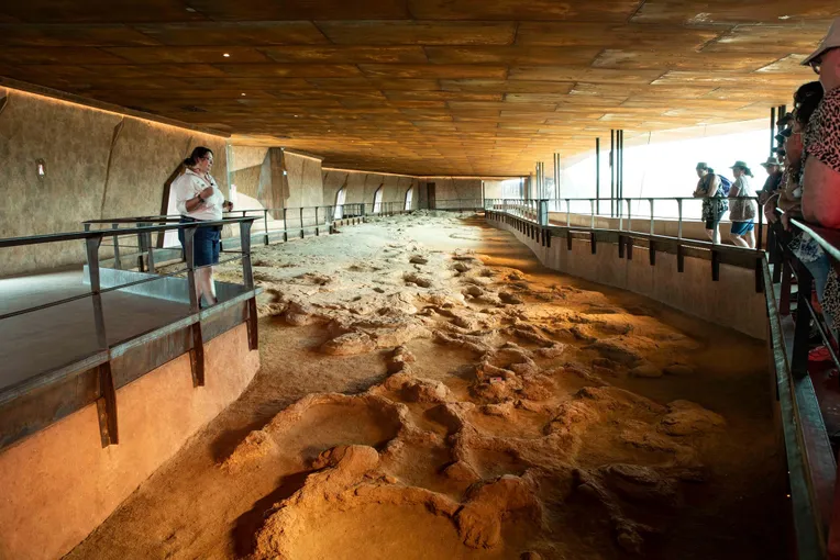 Winton Discovery Guided Tour from Longreach | Experience Oz