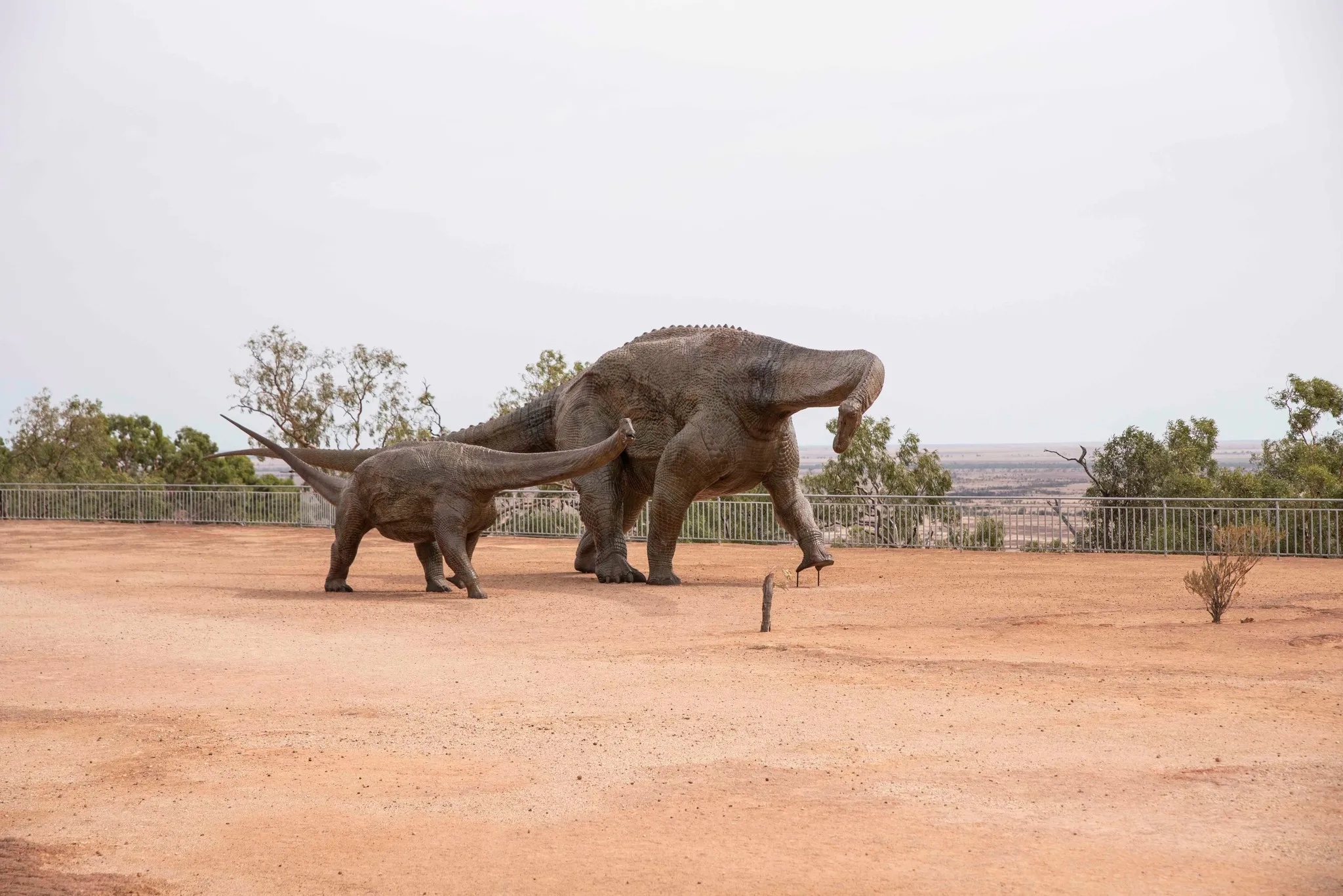 Winton Discovery Guided Tour from Longreach | Experience Oz-1
