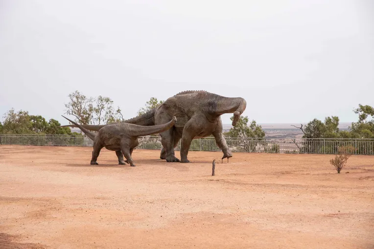 Winton Discovery Guided Tour from Longreach | Experience Oz
