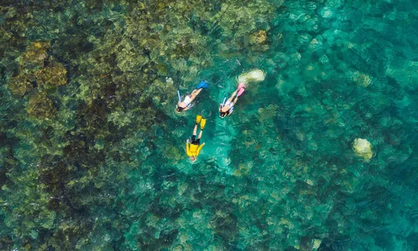 Eco Discovery Guided Snorkel Tour, 5 Hours - Magnetic Island