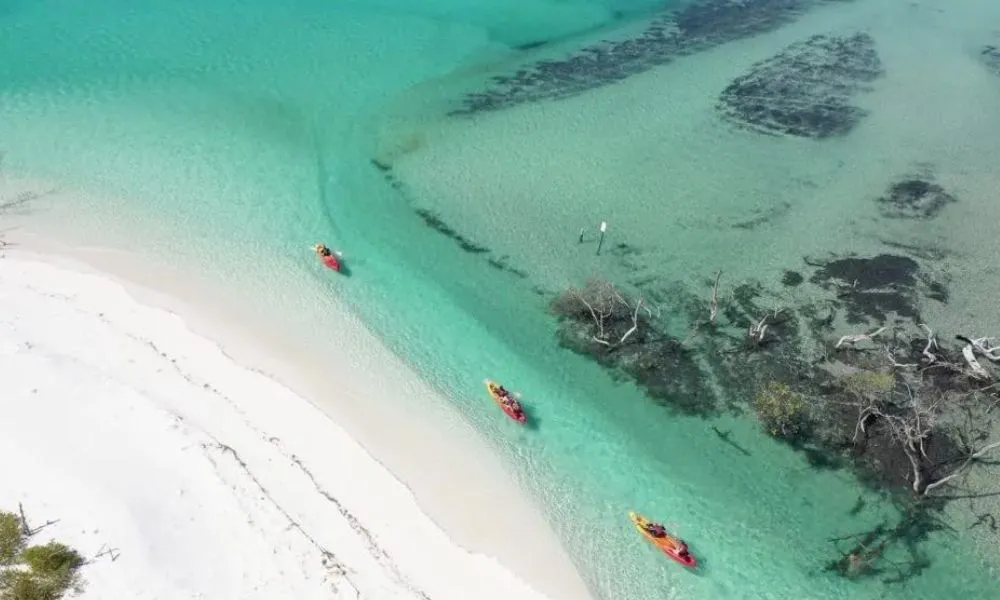 K'gari Island Tour & Whale Watching - Full Day | Experience Oz-6