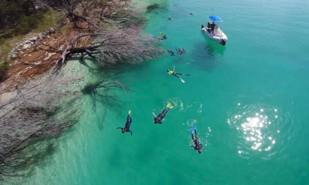 K'gari Island Tour & Whale Watching - Full Day | Experience Oz-3