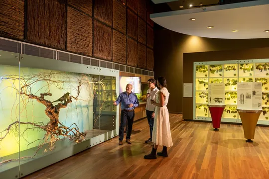 Adelaide Indigenous Wine Tour and Tasting - 90 Minutes