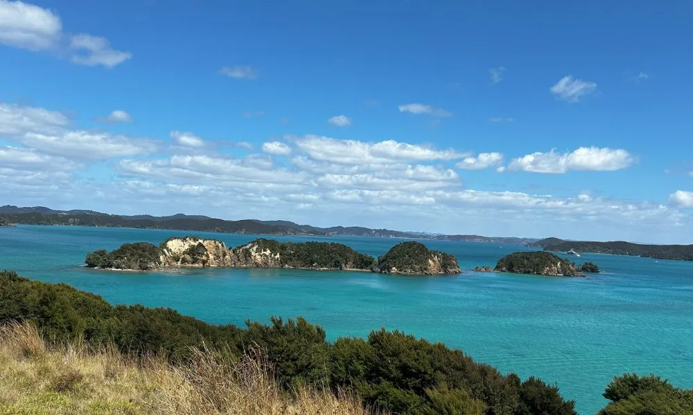 Bay of Islands Kayak Tour, Rocky Coast Tour | Kayaking Bay of Islands-2