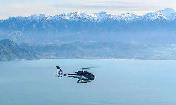 30 minute Classic Whale Watch Helicopter Flight 