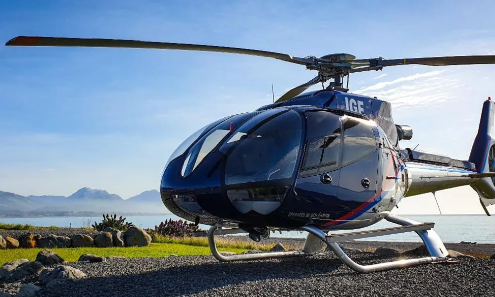 Kaikoura Helicopters | 30 minute Classic Whale Watch Flight  | Everything New Zealand -5