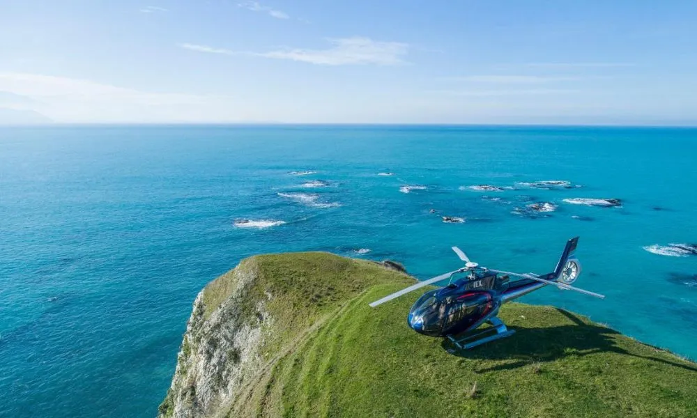 Kaikoura Helicopters | Top n Tail Whale Watch | Everything New Zealand -3