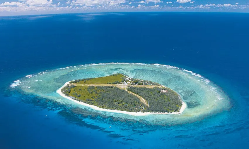 Lady Elliot Island Day Trip From Bundaberg - Book Now | Experience Oz