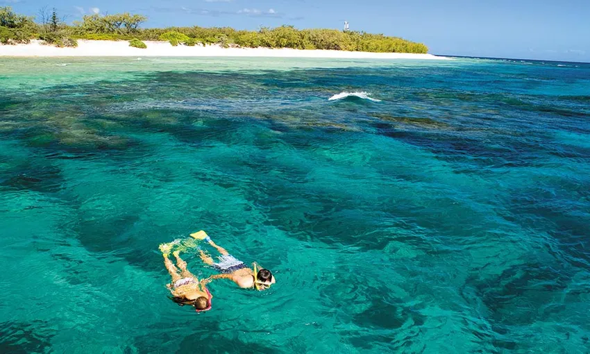 Lady Elliot Island Day Trip From Bundaberg - Book Now | Experience Oz