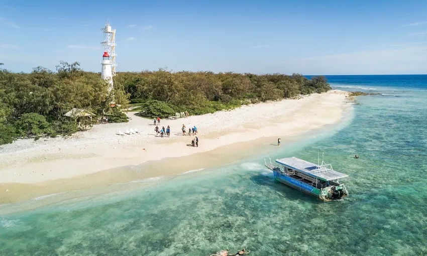 Lady Elliot Island Day Trip From Bundaberg - Book Now | Experience Oz
